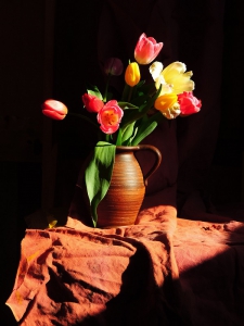 martwa natura z tulipanami, fotografia